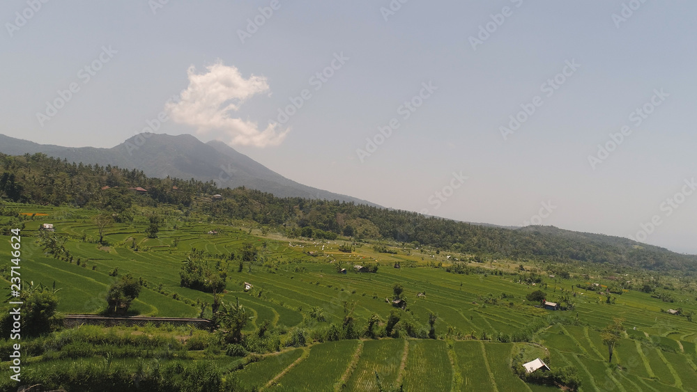 rice fields, agricultural land in countryside. aerial view farmland with rice terrace agricultural crops in rural areas Indonesia rice fields, agricultural land in countryside. aerial view farmland with rice terrace agricultural crops in rural areas Indonesia