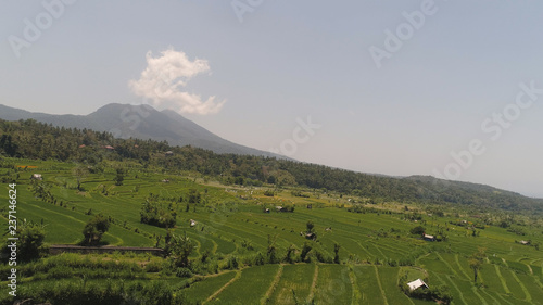 rice fields, agricultural land in countryside. aerial view farmland with rice terrace agricultural crops in rural areas Indonesia