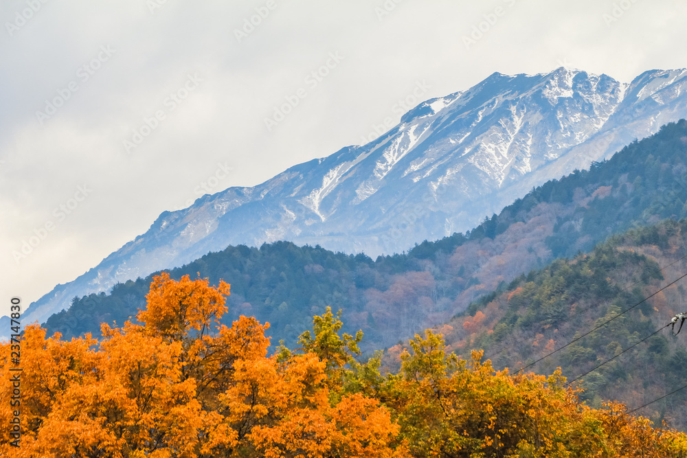 Beautiful autumn leaves of  Takase in omachi district, Nagano PrefectureJapan.