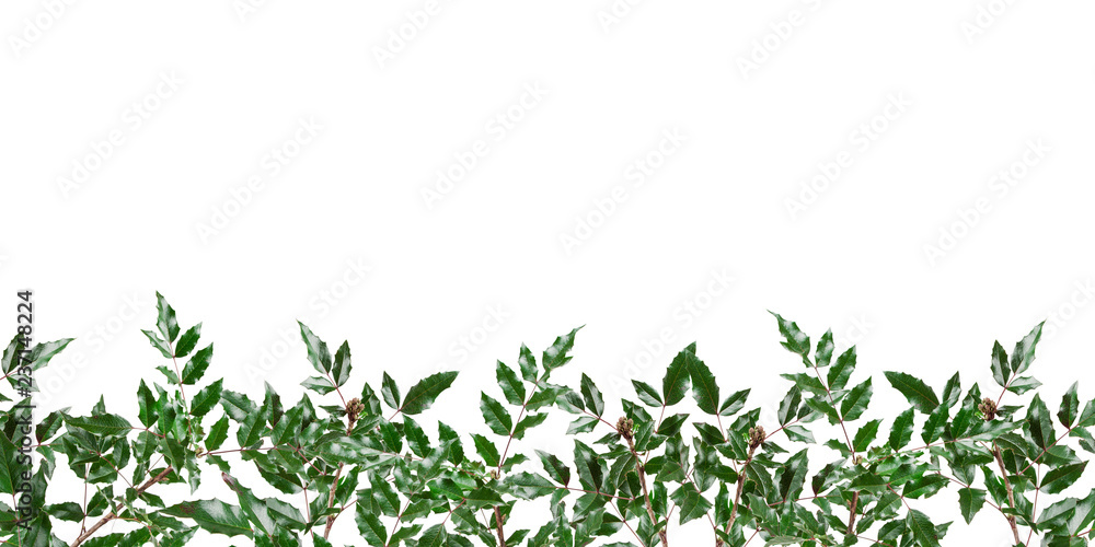 Christmas background of white Christmas lights Christmas background of white Christmas lights