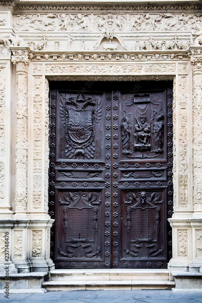 Obraz premium Entrance door of an ancient building with elegant wrought decorations