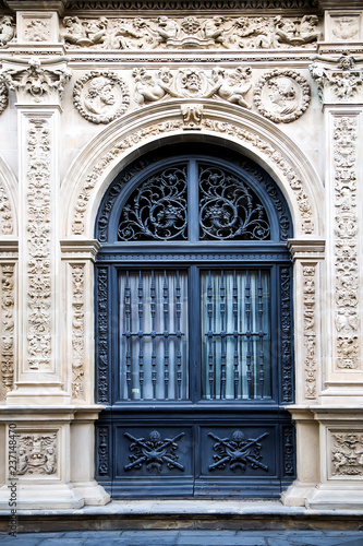 Entrance door of an ancient building with elegant wrought decorations © Olena Ilienko