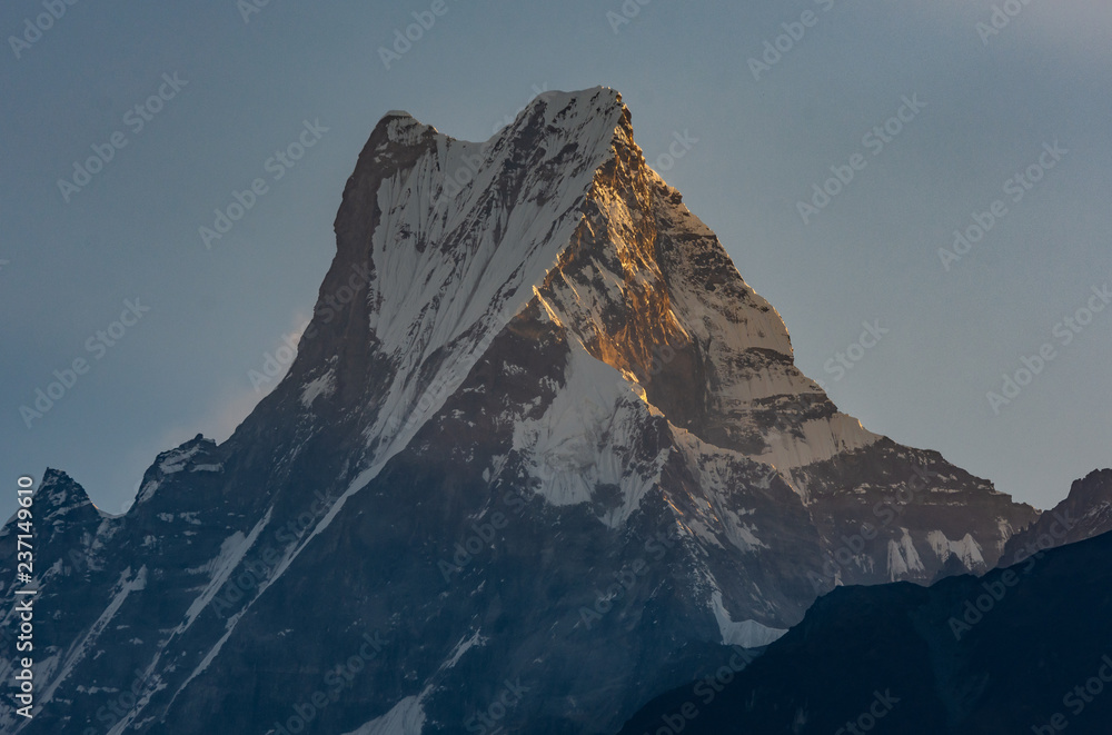 Summit of Machapuchare  ( Fish Tail) being hit by first sunshine during golden hour, Himalayas