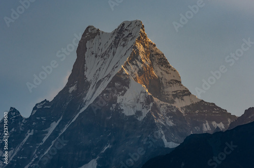 Summit of Machapuchare ( Fish Tail) being hit by first sunshine during golden hour, Himalayas