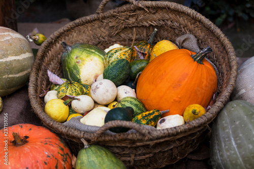 Fall harvest background