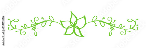 Green Vector Hand Drawn Calligraphic Separator. Spring Flourish Design Element. Floral light style decor for greeting card, web, wedding and print. Isolated on white background Calligraphy and
