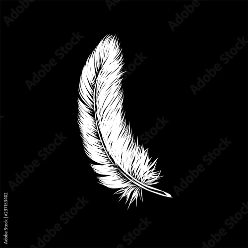 Vector hand drawn line art style white feather for poster, banner, logo, icon. Fluffy feathers on black background in realistic style. Chalkboard concept. Lightweight sketch illustration, for pattern