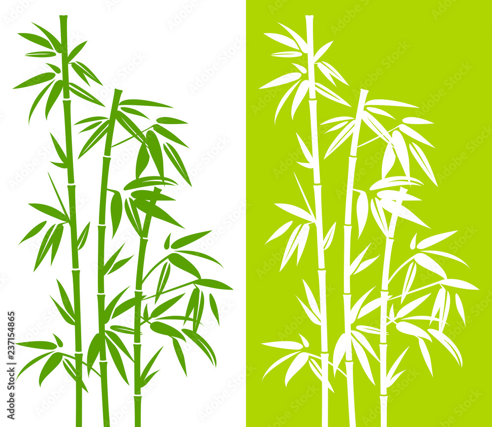 Fototapeta premium Bamboo Duo Green