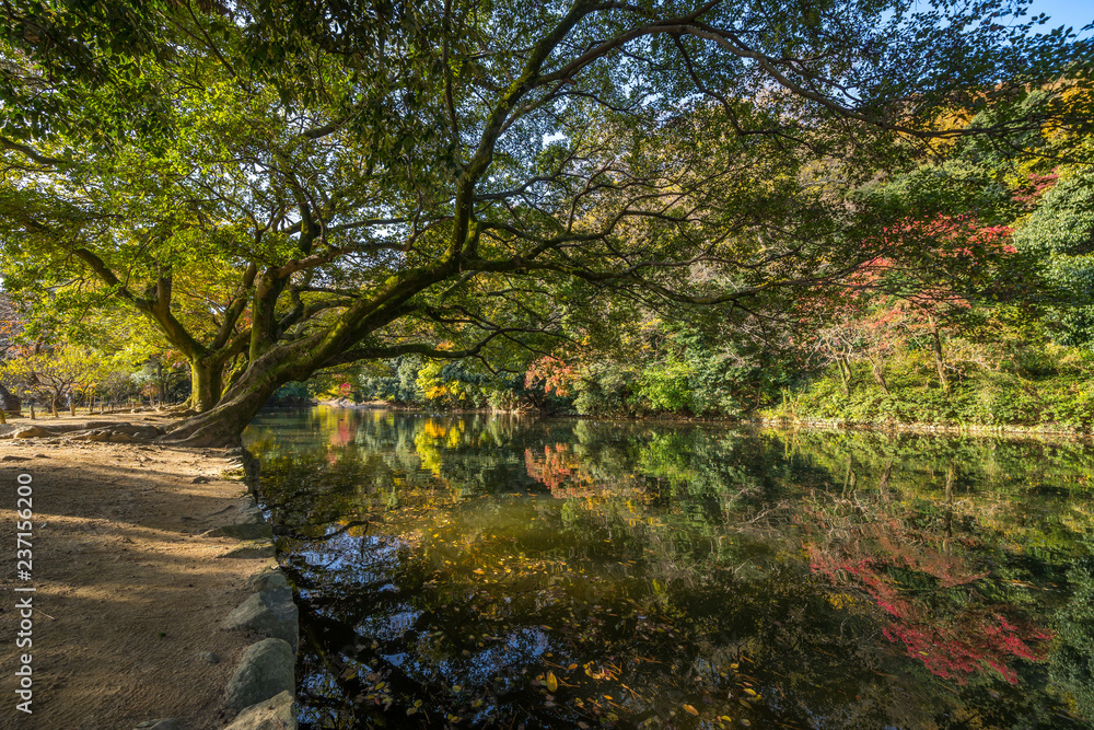 秋　栗林公園(香川県高松市)　2018年11月撮影