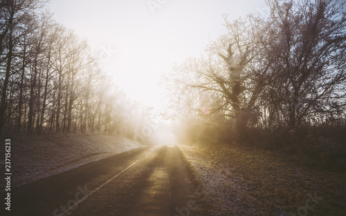 Winter foggy morning golden sunrise with road