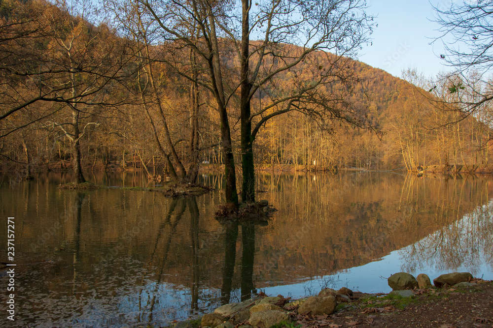 Obraz premium autumn landscapes