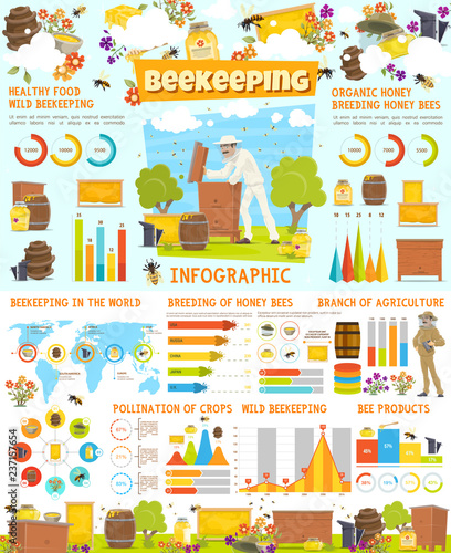 Infographic of beekeeping, statistics with charts