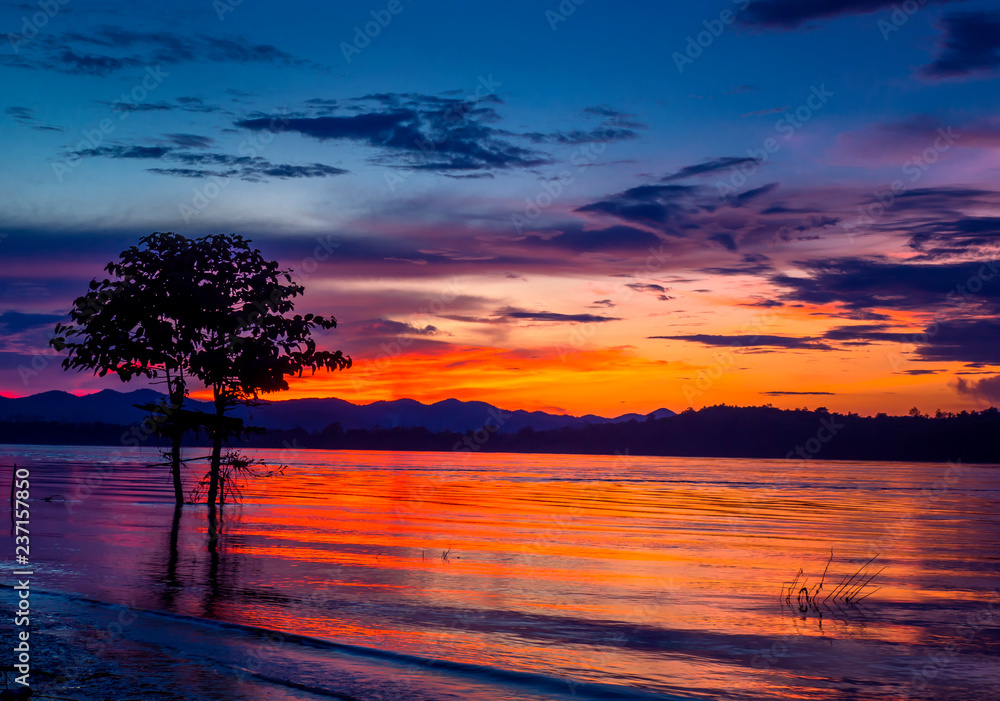The tree in Mekong River on sunset
