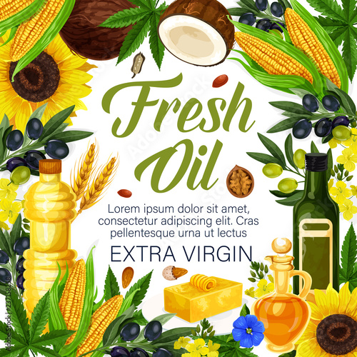 Herbs, extra virgin oils of organic plants, poster