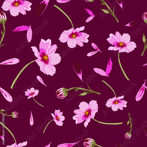 Cosmos Flowers on Maroon Background-Flowers in Bloom  seamless repeat pattern.