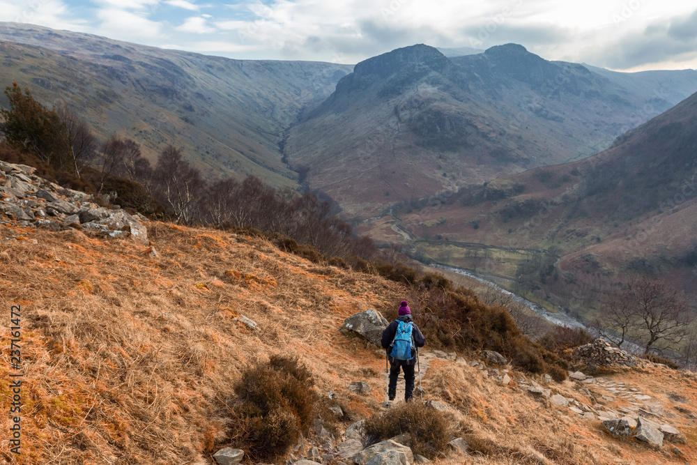 Autumnal Walking the Wainwrights in the English Lake District in Borrowdale heading towards Sargent Crag and Barf