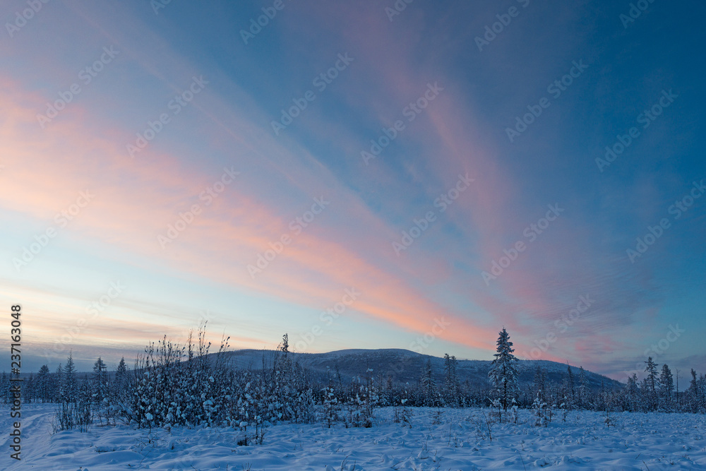 Oymyakon, Yakutia, Siberia, Russia. Purple sunset in Oymyakon - Pole of Cold. The Oymyakon is located in the northeast of Yakutia. This is the coldest inhabited place on the planet. Copy space