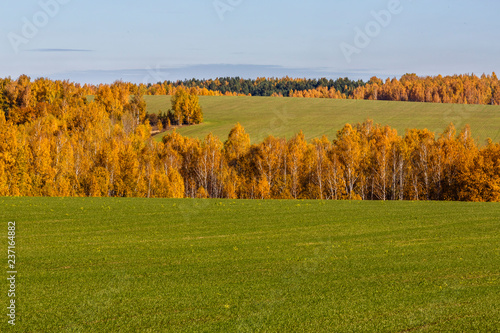 Spassko-Lutovinovo estate