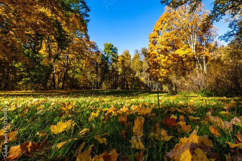 Spassko-Lutovinovo estate