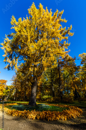 Spassko-Lutovinovo estate