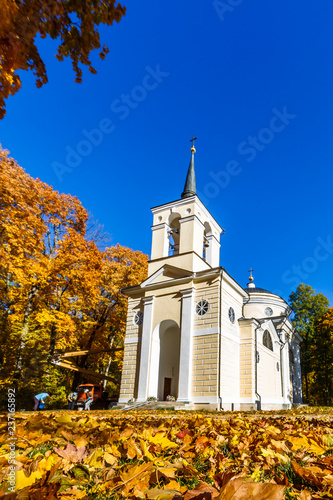 Spassko-Lutovinovo estate