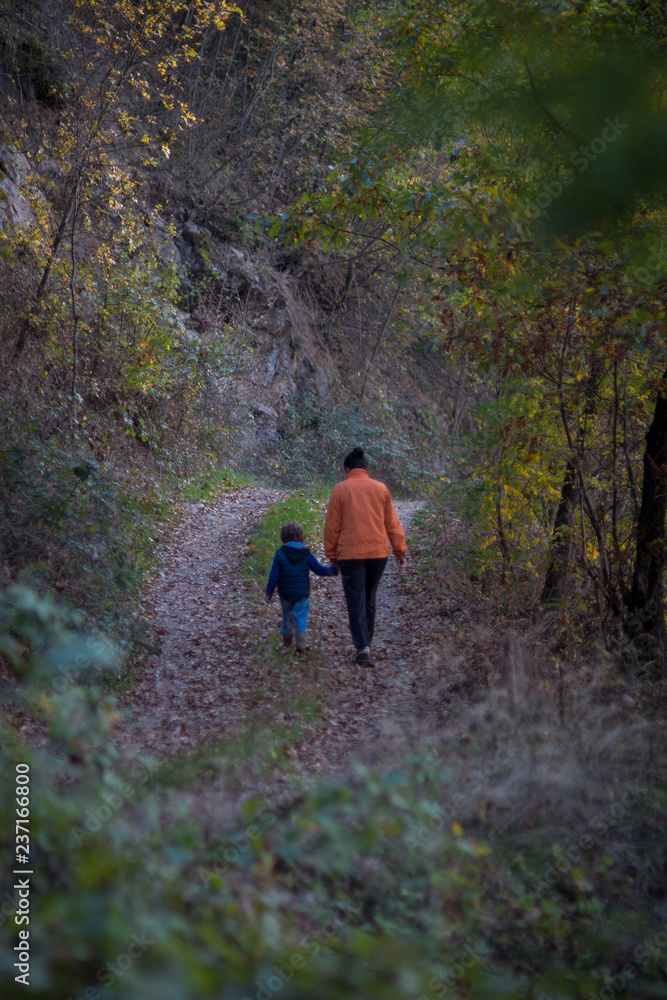Obraz premium Woman and boy walking at the forest road
