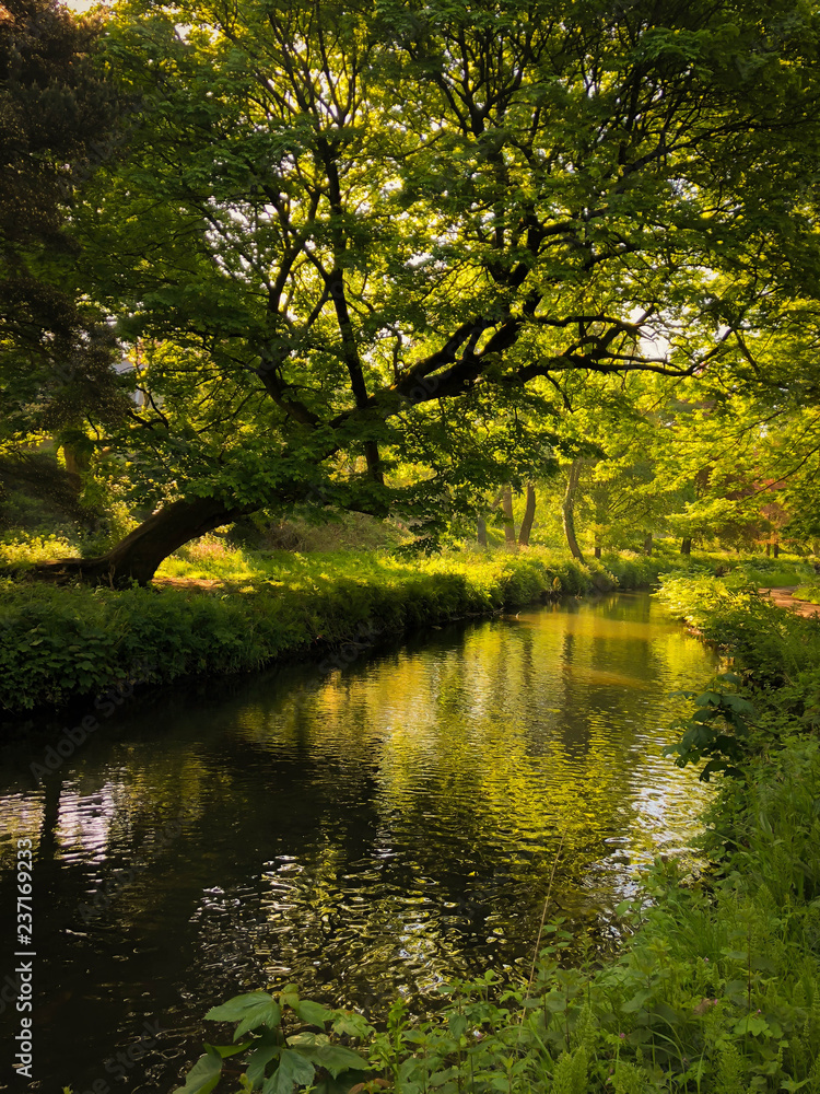 Picturesque Warm summer morning image of tree and woodland over stream in Wales. Reflections in water creating mystical other world feel