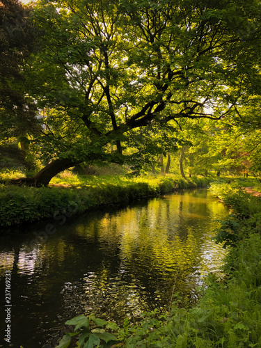 Picturesque Warm summer morning image of tree and woodland over stream in Wales. Reflections in water creating mystical other world feel