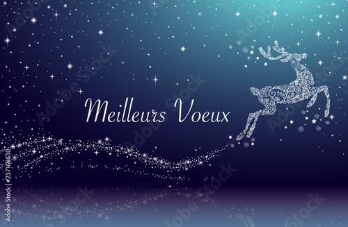 Carte meilleurs voeux