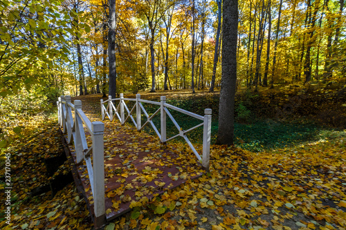 Spassko-Lutovinovo estate