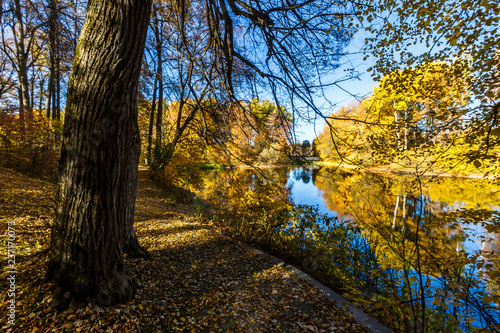Spassko-Lutovinovo estate