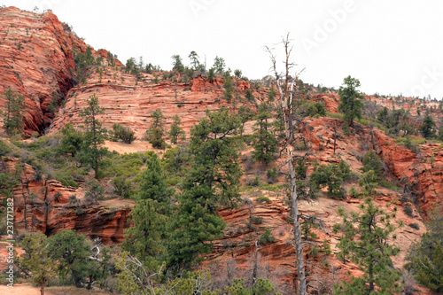 Utah Zion Nationalpark im Frühling