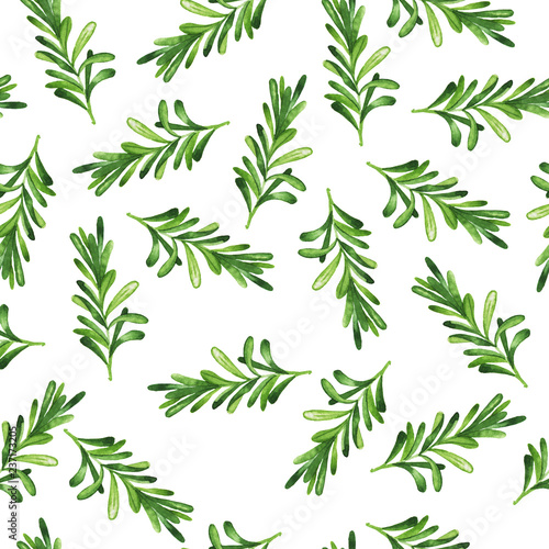 Seamless pattern with green rosemary branches on white background. Hand drawn watercolor illustration. - Illustration