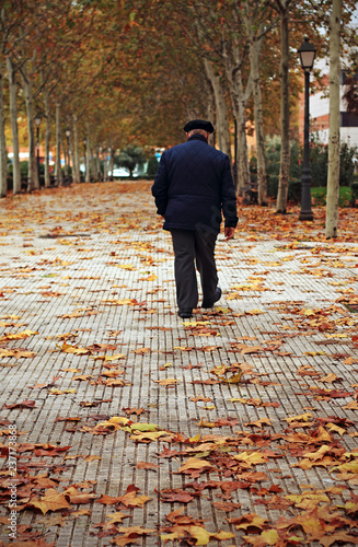 Older person walking down the street in autumn