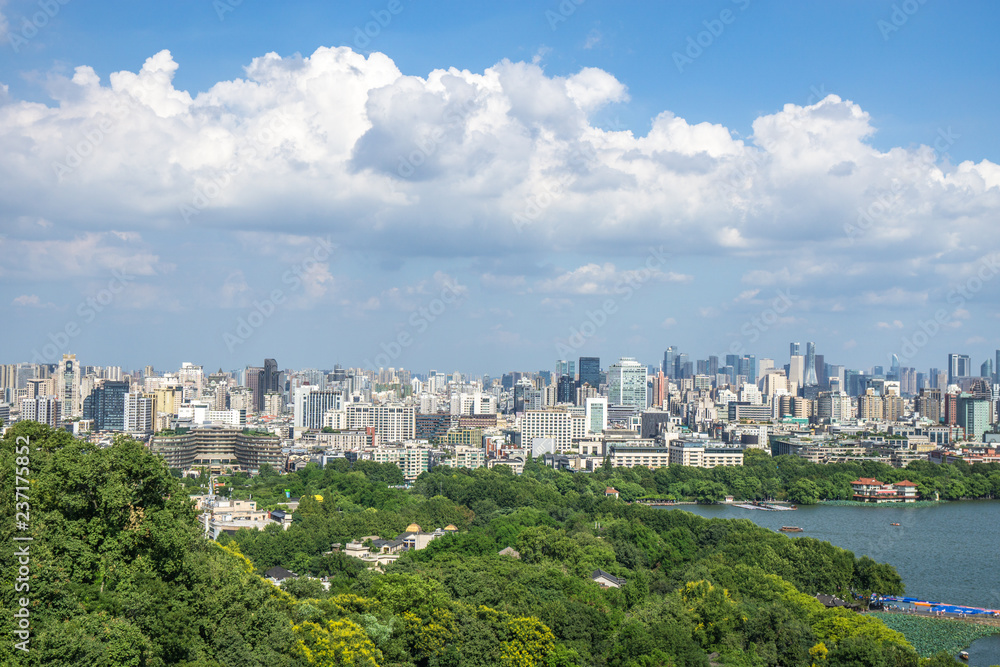 Fototapeta premium panoramic city skyline