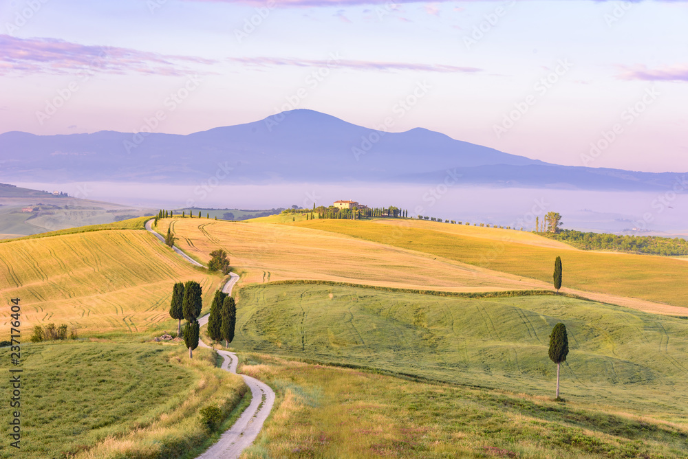 Obraz premium Landscape scenery early in the morning at Pienza in Val d’Orcia, Tuscany in Italy, with cypresses trees and green field with beautiful colors on summer day, travel destination in Europe