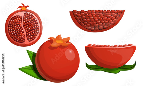 Pomegranate icon set. Cartoon set of pomegranate vector icons for web design