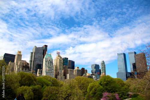 view of manhattan skyline from central park