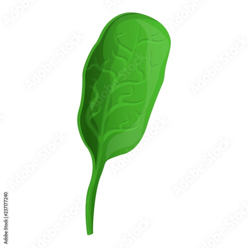 Eco spinach icon. Cartoon of eco spinach vector icon for web design isolated on white background
