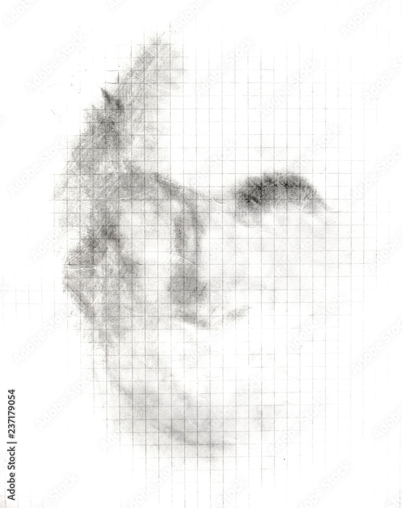 The shadow of a mans face on a notebook sheet, a simple pencil, a sketch.