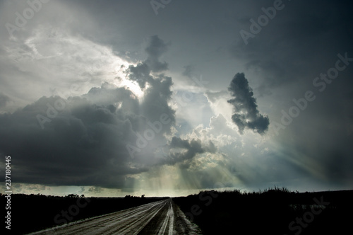 Wallpaper Mural Dark thunder clouds and dramatic storms fill the sky over the swamp in Big Cypress, Florida Torontodigital.ca