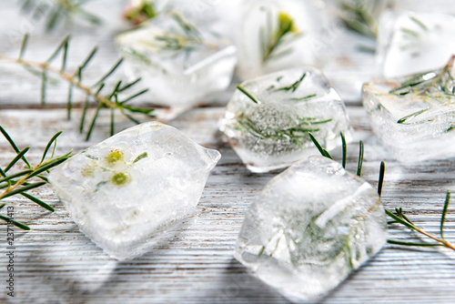 Plants frozen in ice cubes on light wooden background