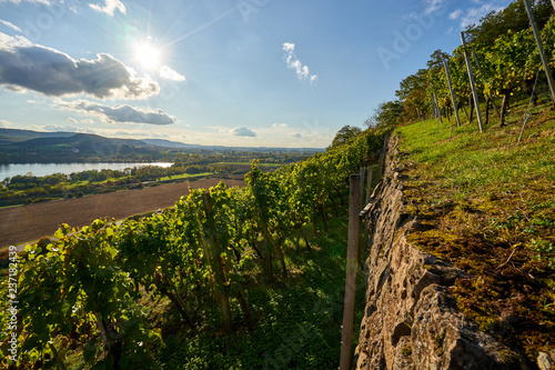 Weinberge und Mainaue im Abt-Degen-Weintal bei Ziegelanger, Ortsteil von Zeil am Main, Kreis Haßberge, Landkreis Hassberge, Unterfranken, Franken, Bayern, Deutschland. photo