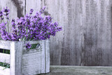 Lavender flowers  in box on wooden background 
