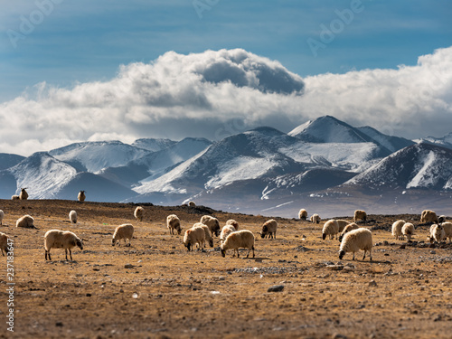 View from Tibet (China) © Niyada