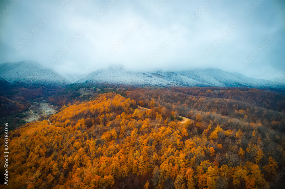 Two seasons - winter and autumn scene