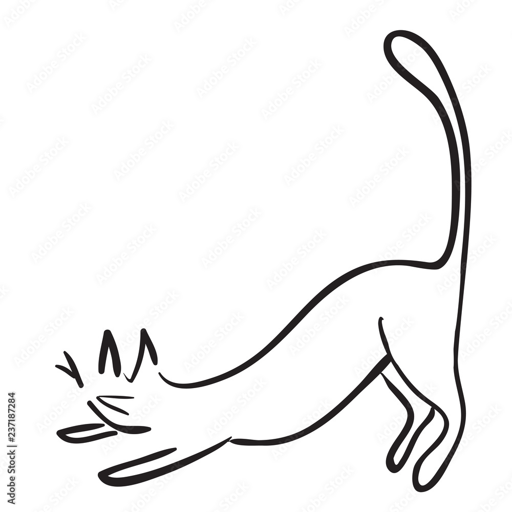 Fototapeta premium Simple funny cat