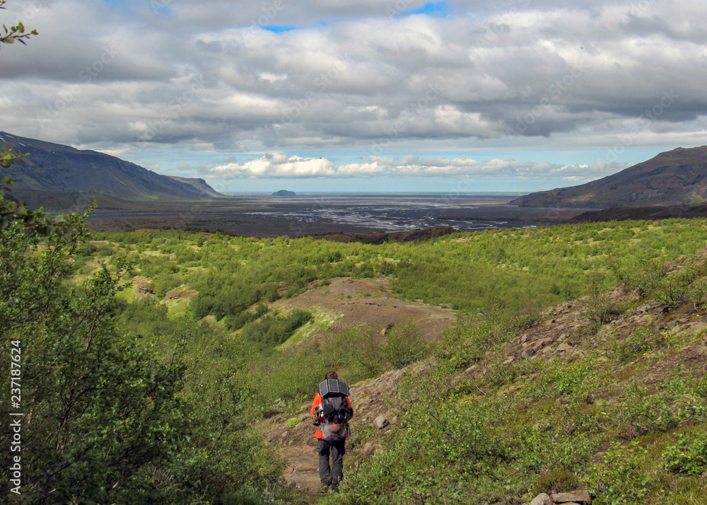 Hiker man alone into the wild admiring volcanic landscape of green Icelandic valley. Laugavegur hiking trail, summer vacations outdoor