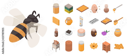 Apiary icon set. Isometric set of apiary vector icons for web design isolated on white background