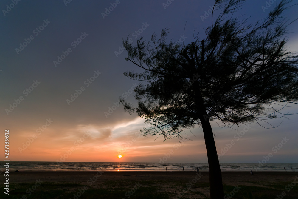 Natural sunset or sunrise with dark tree as foreground. Natural sunset or sunrise with dark tree as foreground.